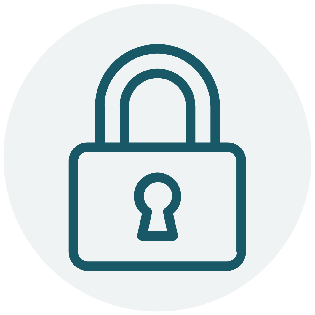 Anti-Theft Bags icon